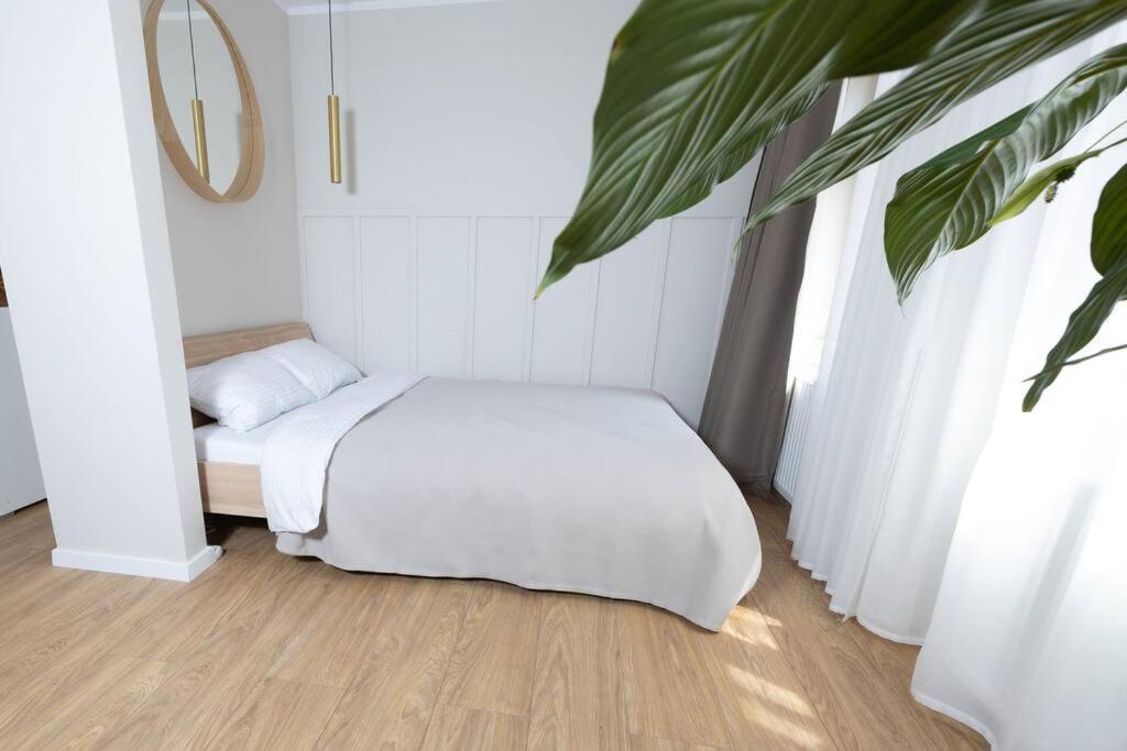 Design & Relax #Altstadt #Sauna Wittenberg Zewnętrze zdjęcie